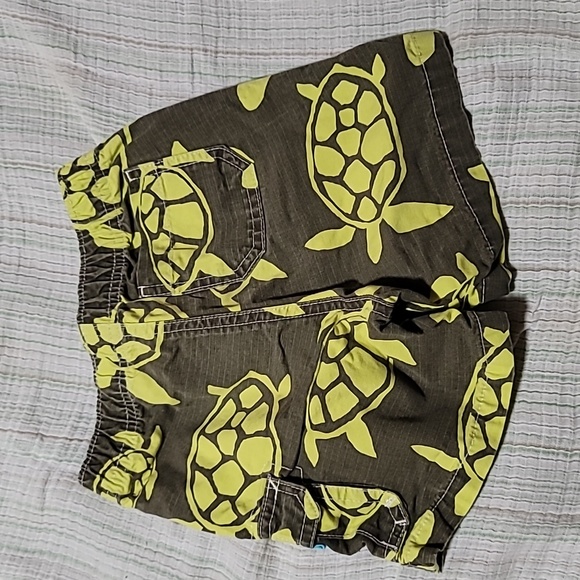 24M turtle print shorts - Picture 3 of 3
